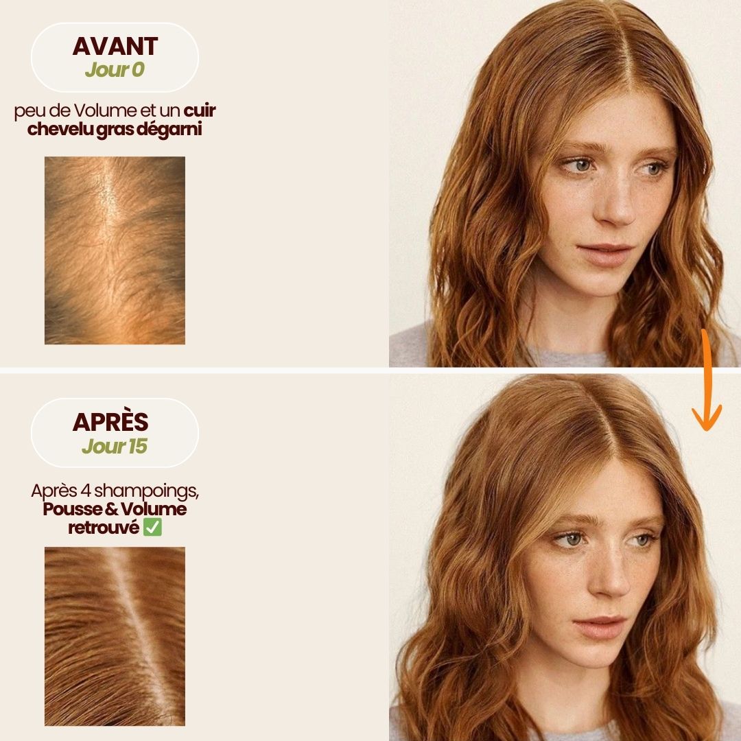 Shampoing Volume & Densité au Romarin