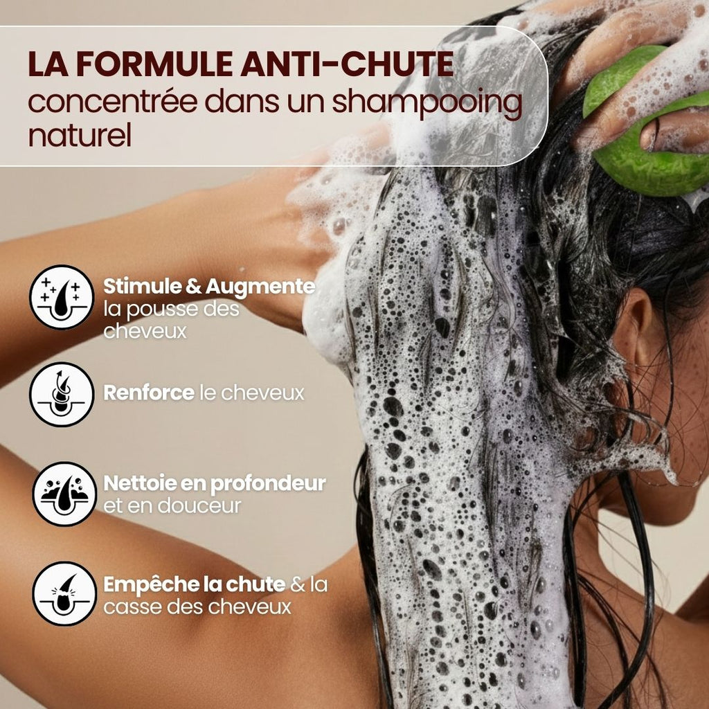 Shampoing Volume & Densité au Romarin