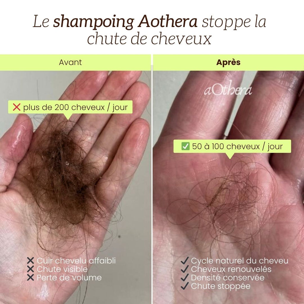 Shampoing Anti-chute & Volume au Romarin