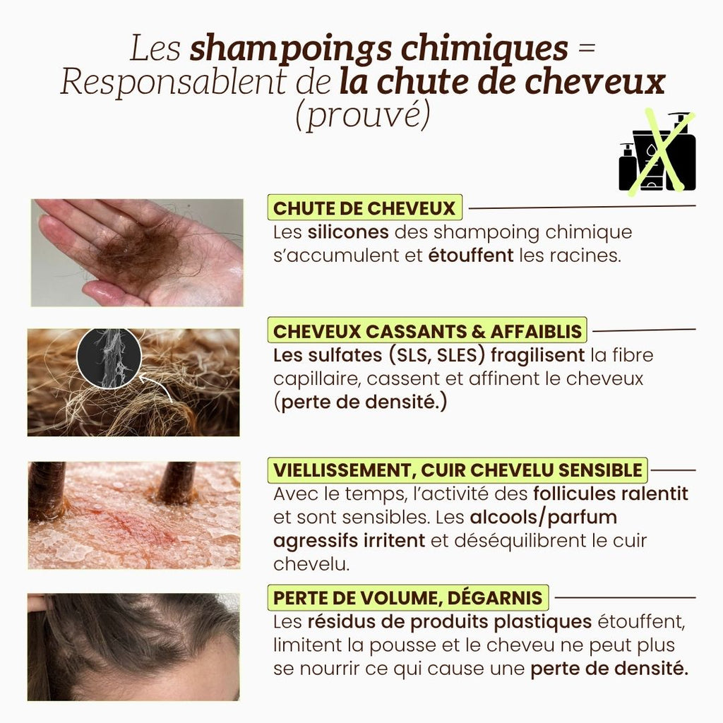 Shampoing Anti-chute & Volume au Romarin