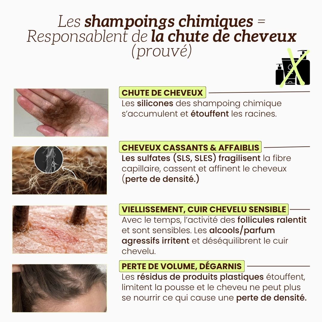Shampoing Anti-chute & Volume au Romarin
