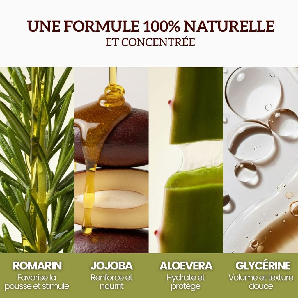 Shampoing Volume & Densité au Romarin