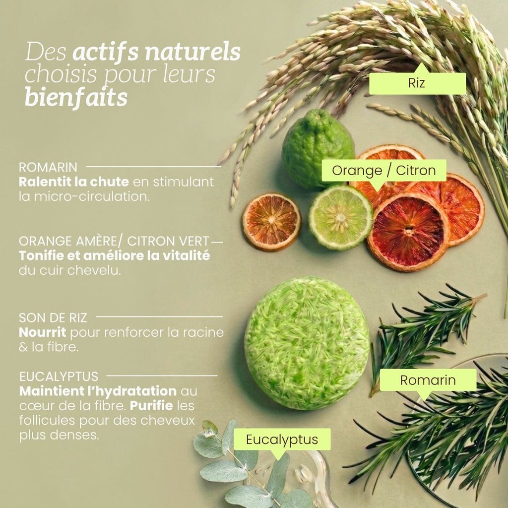 Shampoing Anti-chute & Volume au Romarin
